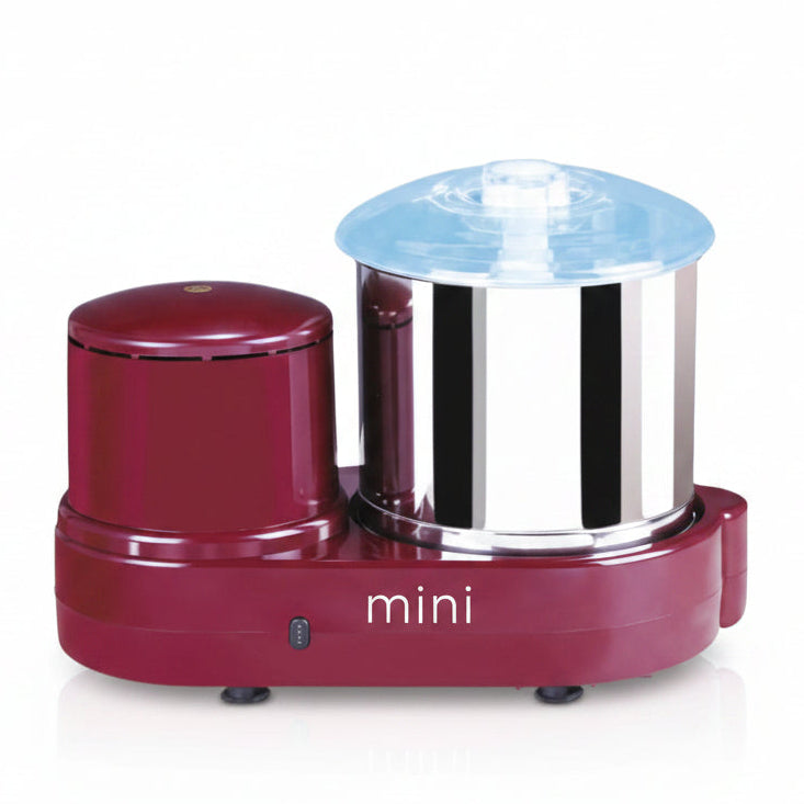 Lakshmi Mini masala wet grinder